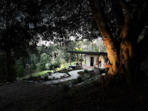 Bellingen Mountain View Studio, Bellingen